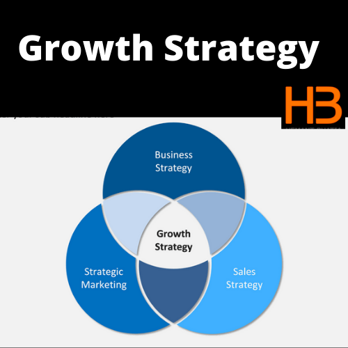 Growth Strategy Mumbai Pune India| Marketing Growth Strategy